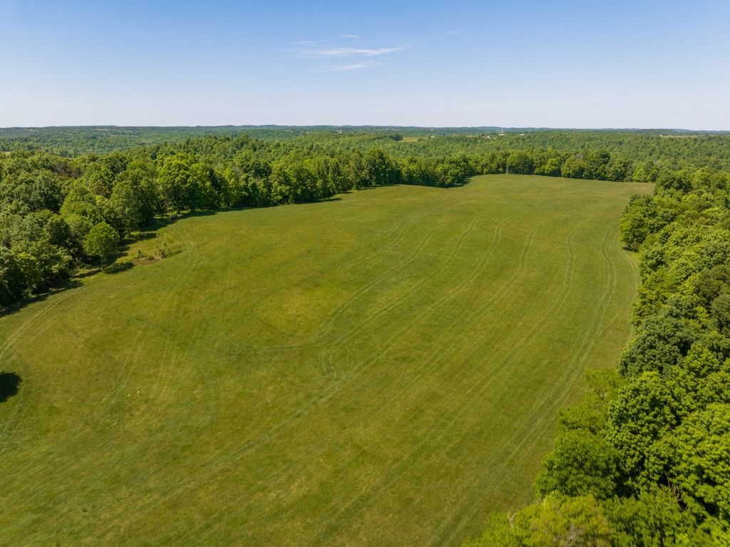 Open Kentucky pasture meeting a hardwood treeline